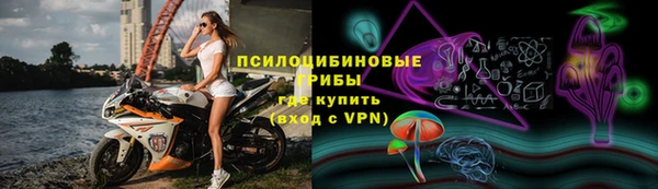 сатива Киренск