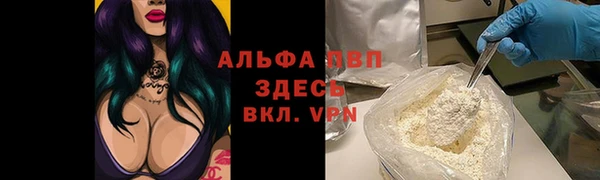 винт Козельск