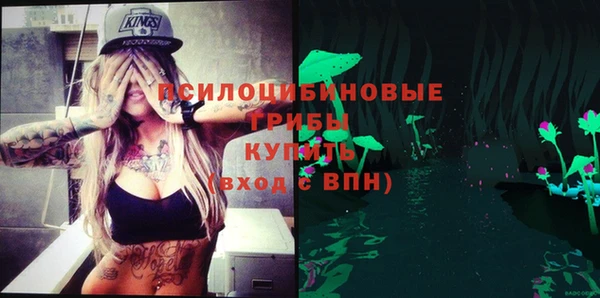 спиды Козловка