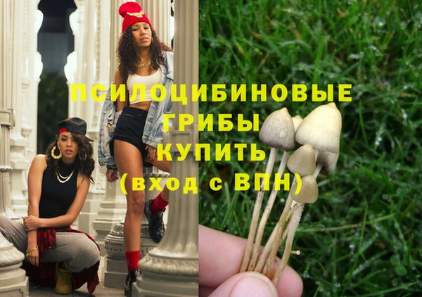 сатива Киренск
