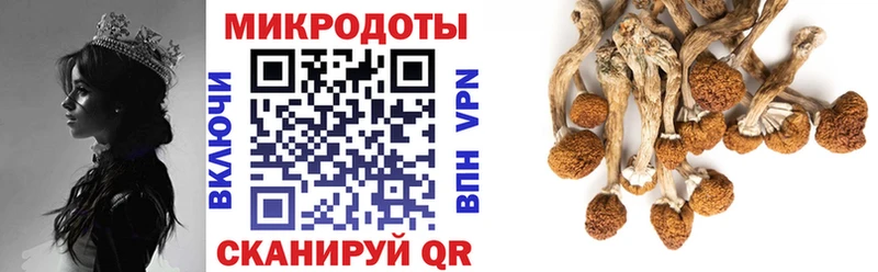 Галлюциногенные грибы прущие грибы  Купить  Белореченск 